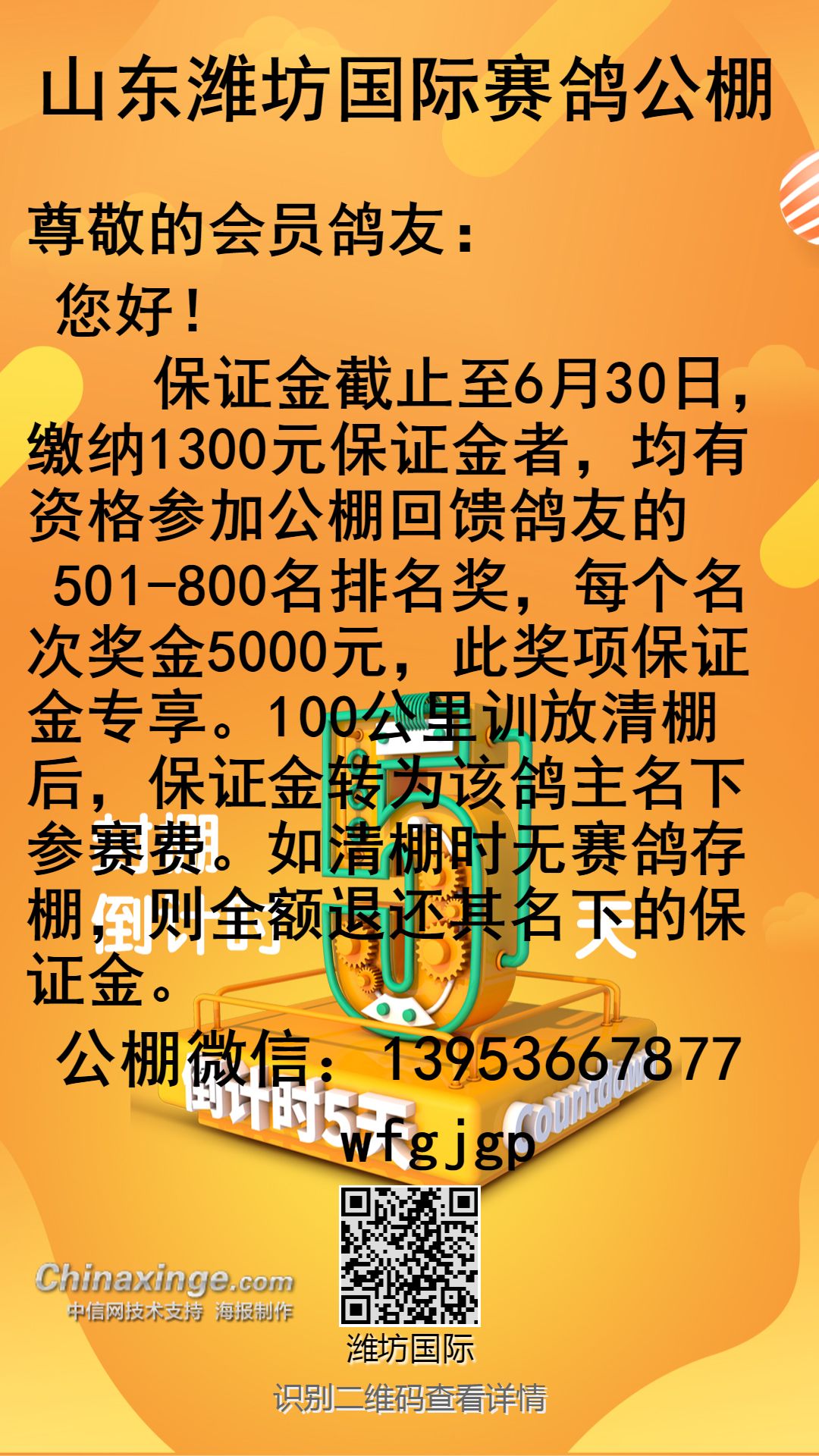 山东赛鸽公棚最新公告通知