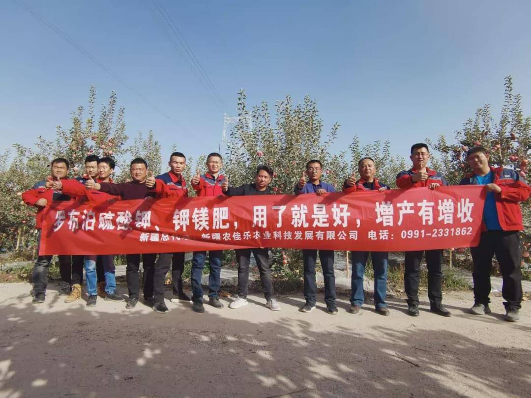 新疆国投罗钾最新动态，全面指南与最新发展概述