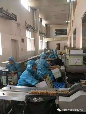朝阳食品厂诚邀英才共创未来辉煌