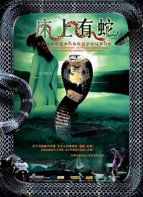 最新蛇片，蜕变的旅程，召唤自信与成就感的冒险之旅