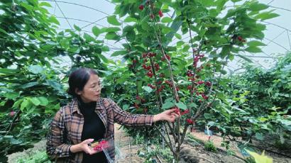 演员王小蓉的彩色生活,爱与陪伴的温馨日常