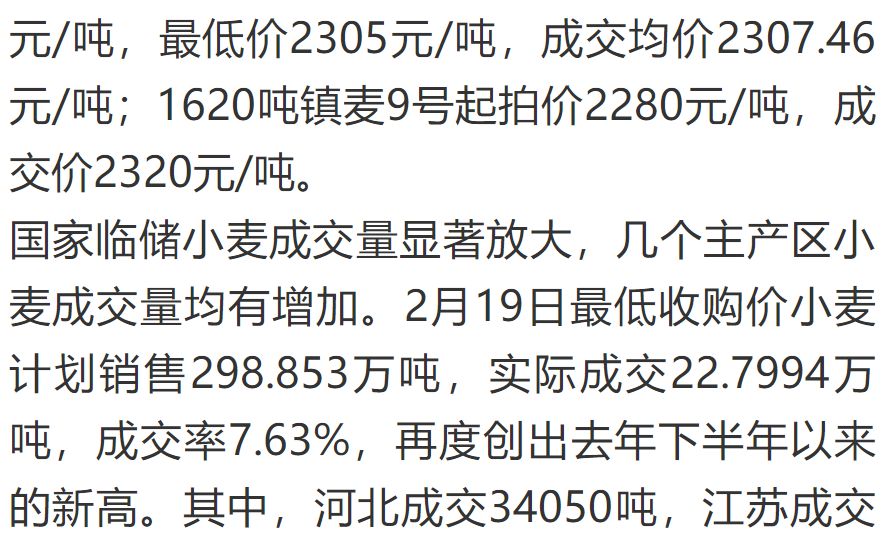 山东小麦最新价格及绿色之旅探寻内心平静之旅
