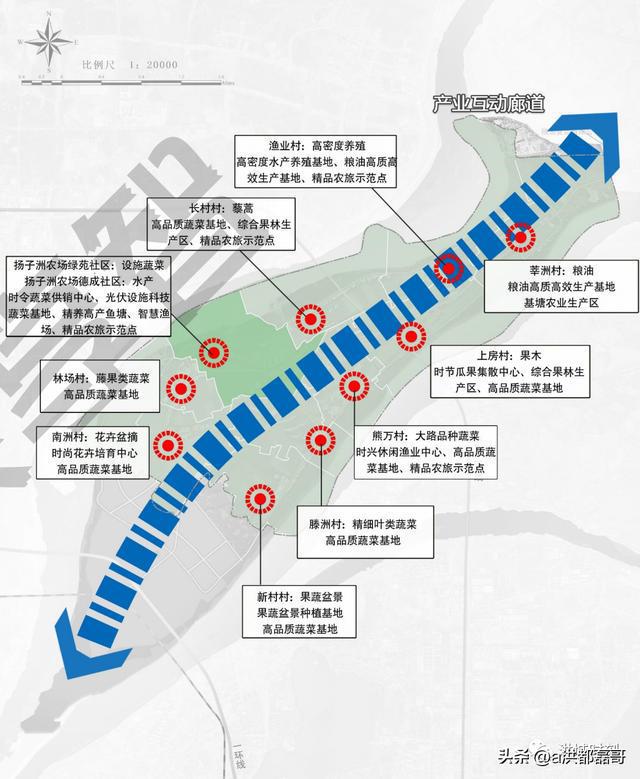 南昌扬子洲未来蓝图揭晓，最新规划描绘未来发展路径