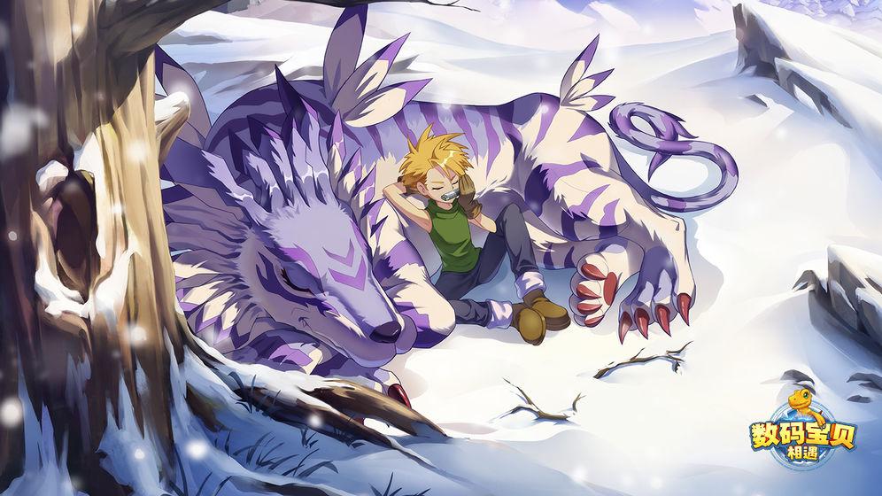 强者之路最新阵容指南,一路学习,自信闪耀的战斗之旅