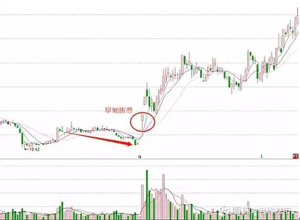 科技巨头新媒股份重塑未来体验,引领股市新风向!