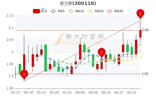 保力新股票深度解析,探寻投资价值与潜力所在