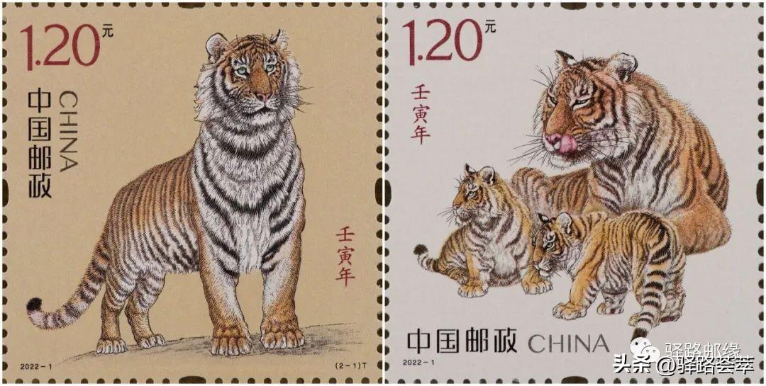 小本票行情,高科技产品引领便捷生活新纪元