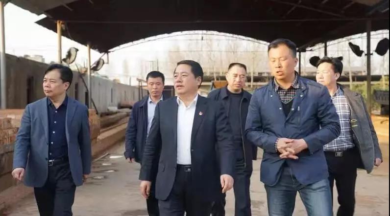 商丘王仲田最新动态，探索自然美景的旅行，寻求内心平和之旅