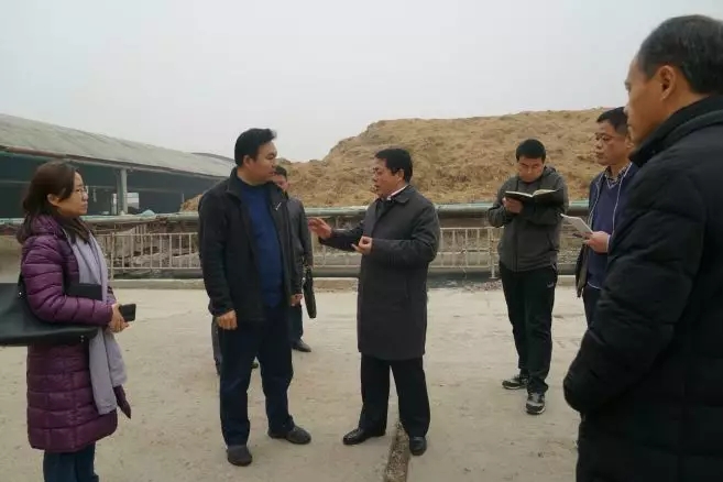 商丘王仲田最新动态,探索自然美景的旅行,寻求内心平和之旅