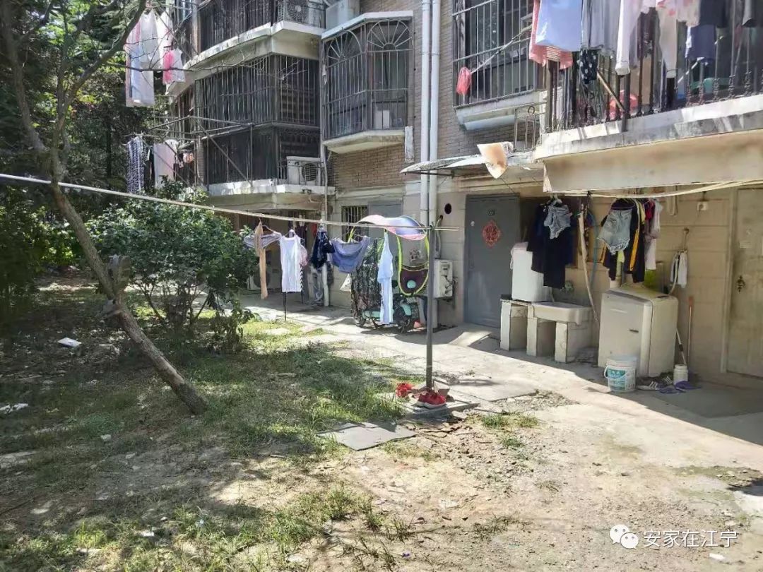 最新大杂乱时代，混沌与秩序的重建之路
