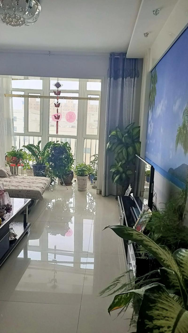 馆陶房产最新优质房源出售信息概览