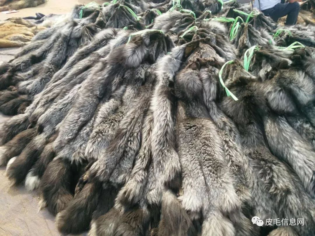 貉皮尚村最新价格，小巷中的时尚皮草宝藏探索