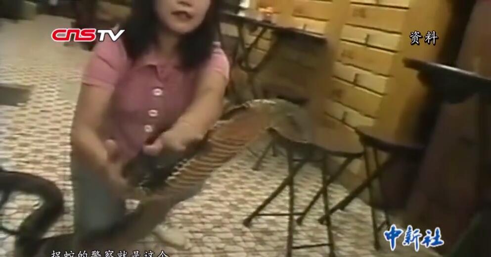 独家揭秘,最新妞干免费视频,不容错过!🎬✨