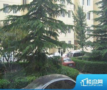 草社区美食探险之旅,探寻小巷中的隐藏宝藏与最新地址揭秘