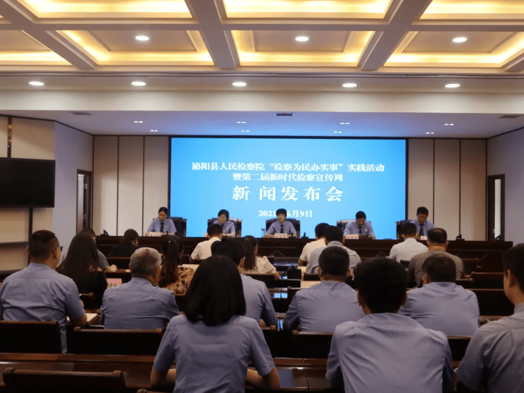 泌阳新闻最新动态，多元视角下的观察与思考