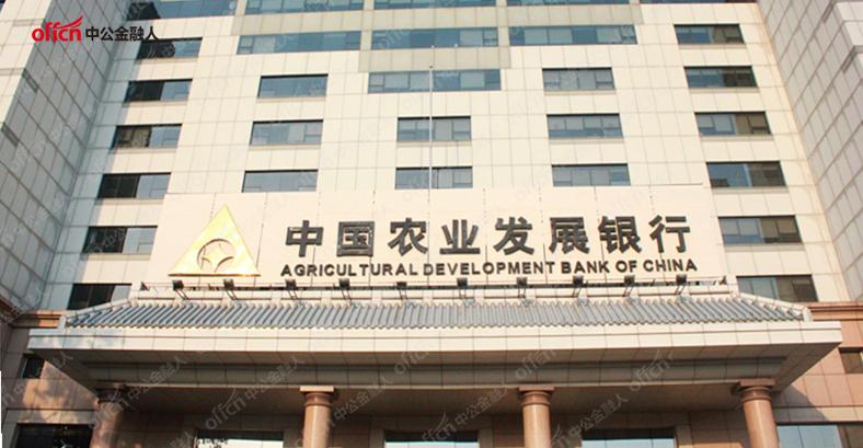 农发行待遇最新动态揭秘
