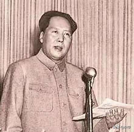 一夜谈加急版最新热点话题深度探讨夜谈纪实