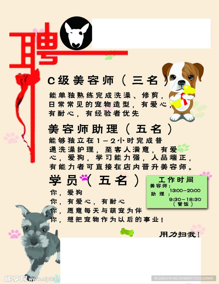 宠物店招聘最新动态，共探自然之美，寻求内心宁静