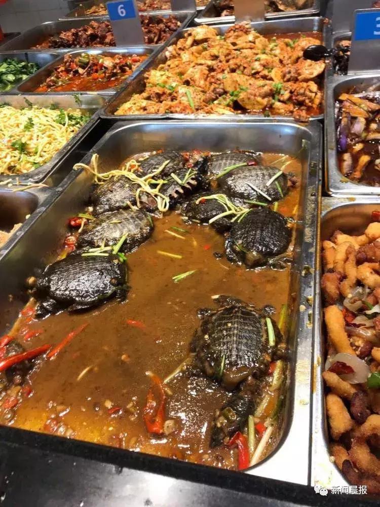 探索食堂美食新潮流，最新食堂菜一览