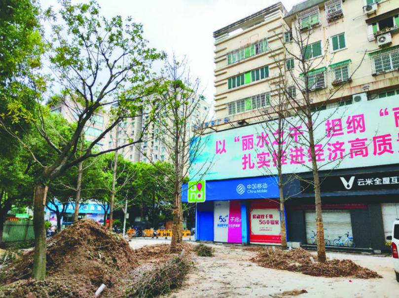 最新吊车网，自然美景之旅与内心平静的探寻