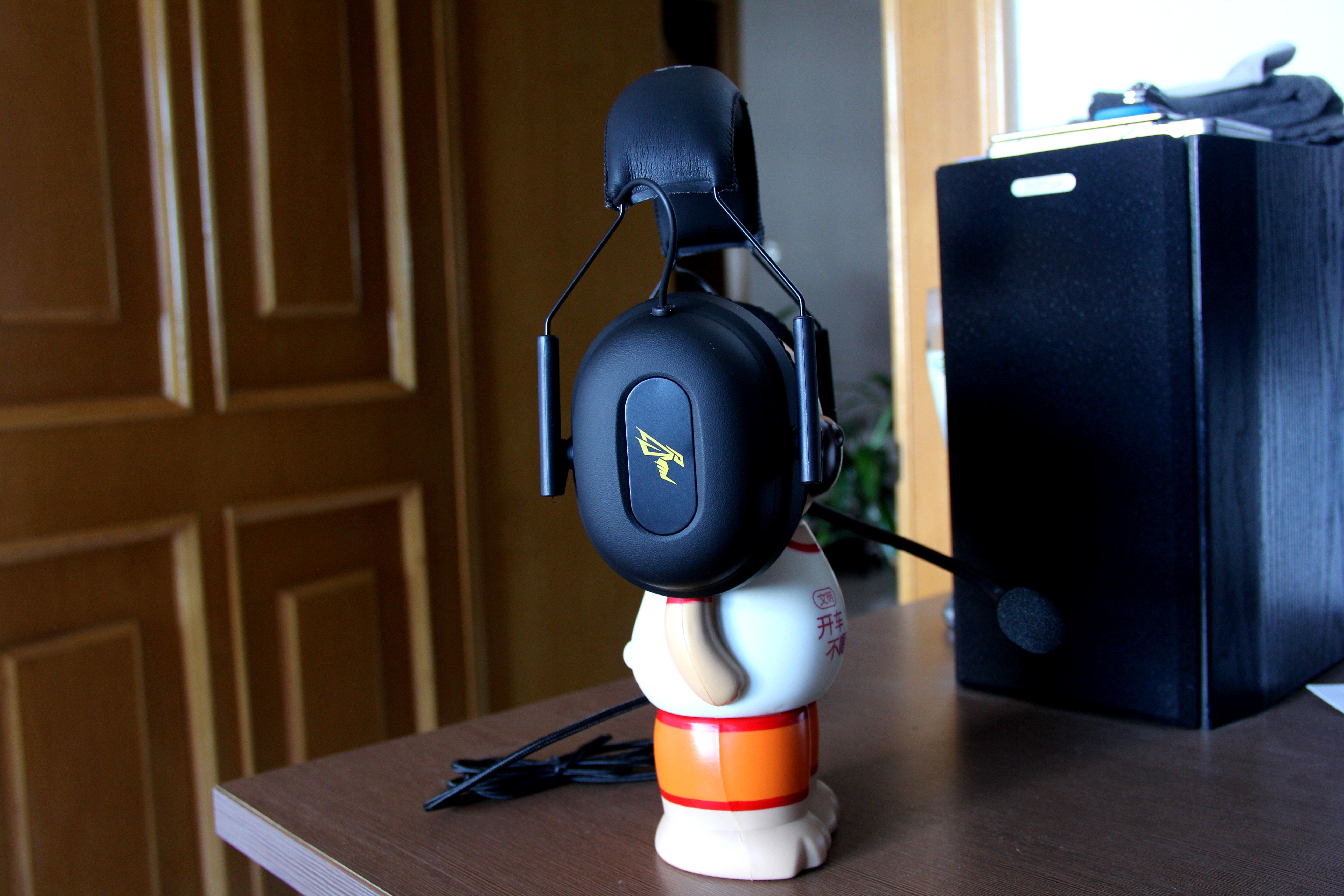 最新毒蜂,逆风翱翔,学习铸就自信与成就之巅