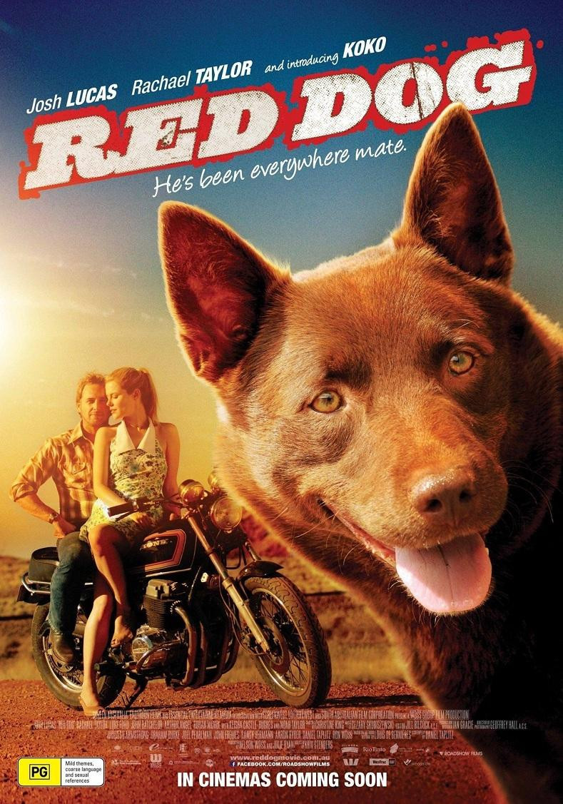 电影最新犬，小巷深处的独特犬影天堂