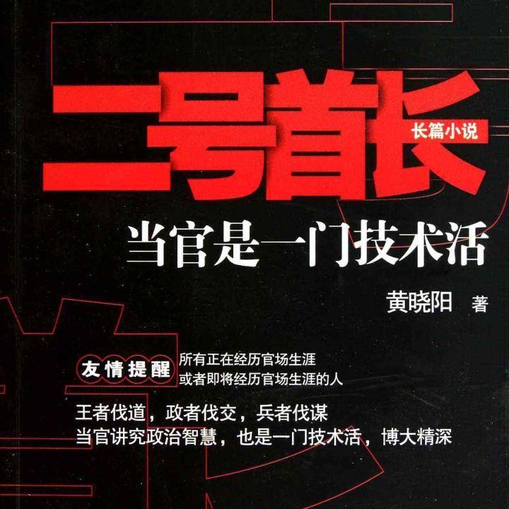 首长最新章节揭秘，热门小说动态更新追踪