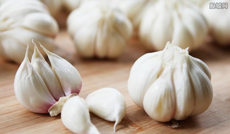 山东大蒜最新价格揭秘,科技引领市场,开启大蒜市场新纪元