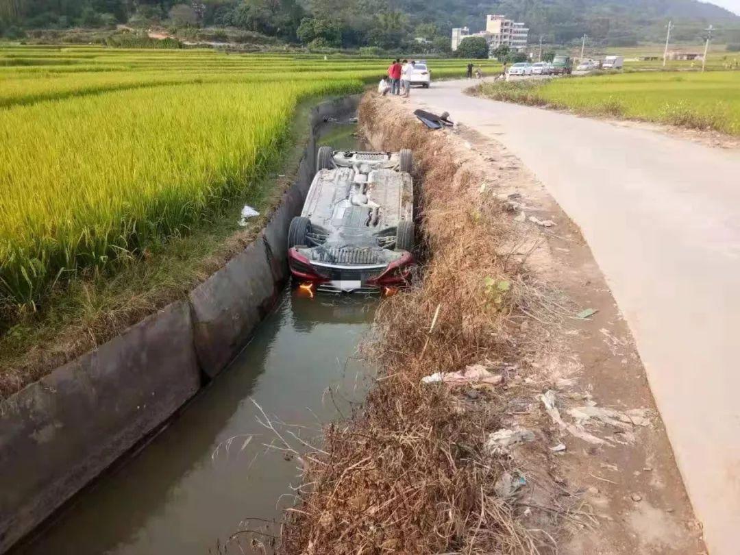 逃生3最新消息详述,最新动态与揭秘