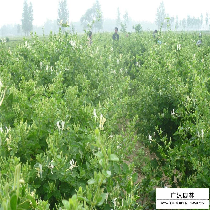 第587页