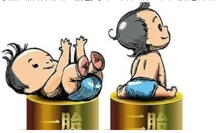 最新双胞胎补助政策，携手同行，助力孕育梦想之路