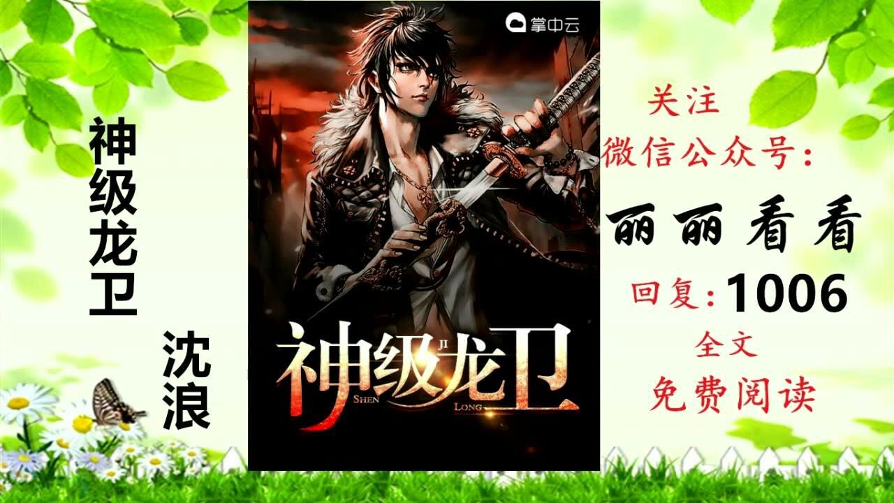 神级龙卫沈浪,热血冒险与英雄崛起的最新章节