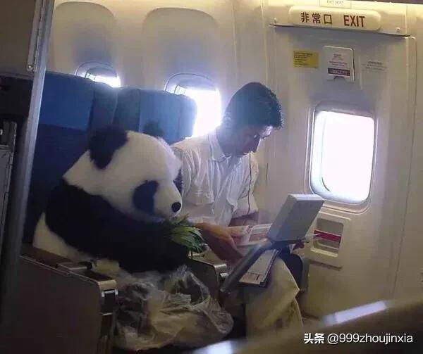 追逐变化之翼，学习铸就自信与成就——虚幻最新探讨