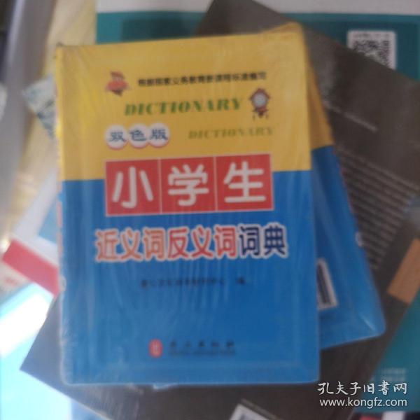 84pao最新趋势,引领潮流的新风尚