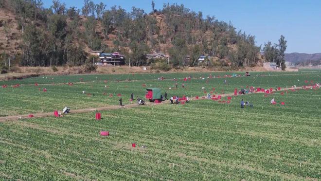 大姚最新科技项目重塑未来生活体验,引领潮流新篇章