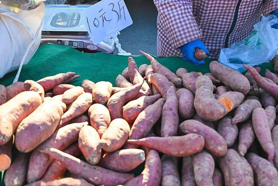 最新地瓜价格解析,查询指南与任务攻略