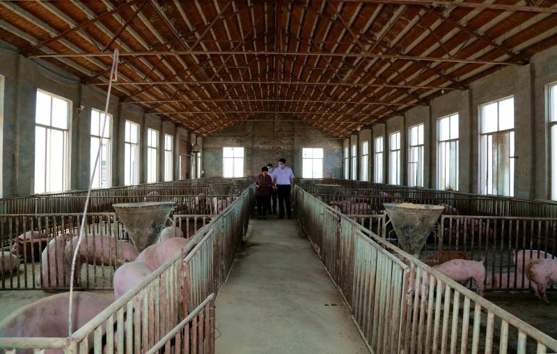 淄川环保最新动态深度解析,观点论述与进展报告