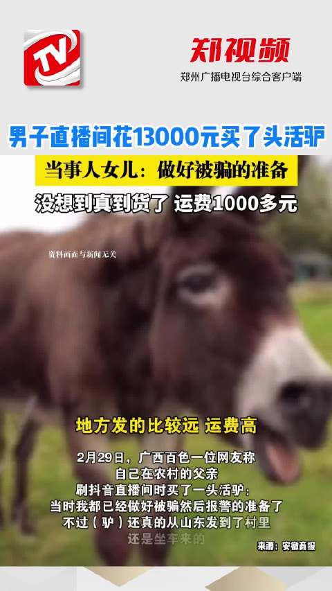 活驴最新价格探讨与观点阐述