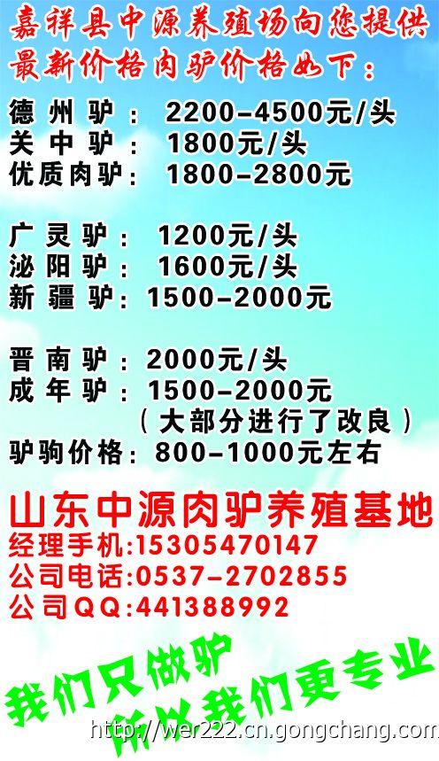 活驴最新价格探讨与观点阐述