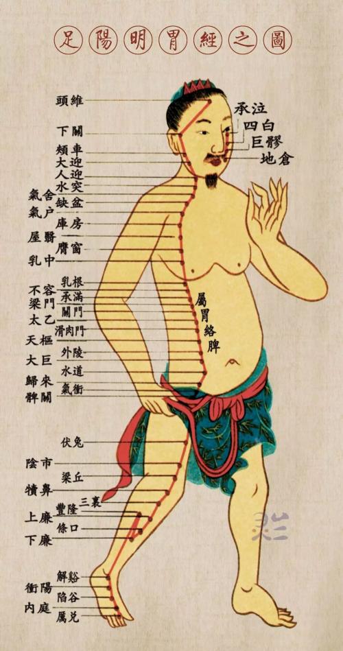 最新经络操,探索古老奥秘,重塑健康身姿