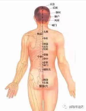 最新经络操,探索古老奥秘,重塑健康身姿