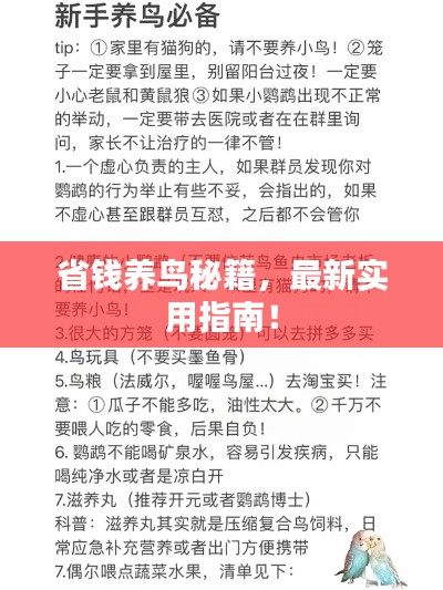 最新养鸟法规解析，观点阐述与深度探讨
