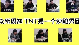 TNT最新签名,小巷深处的独特风味探秘