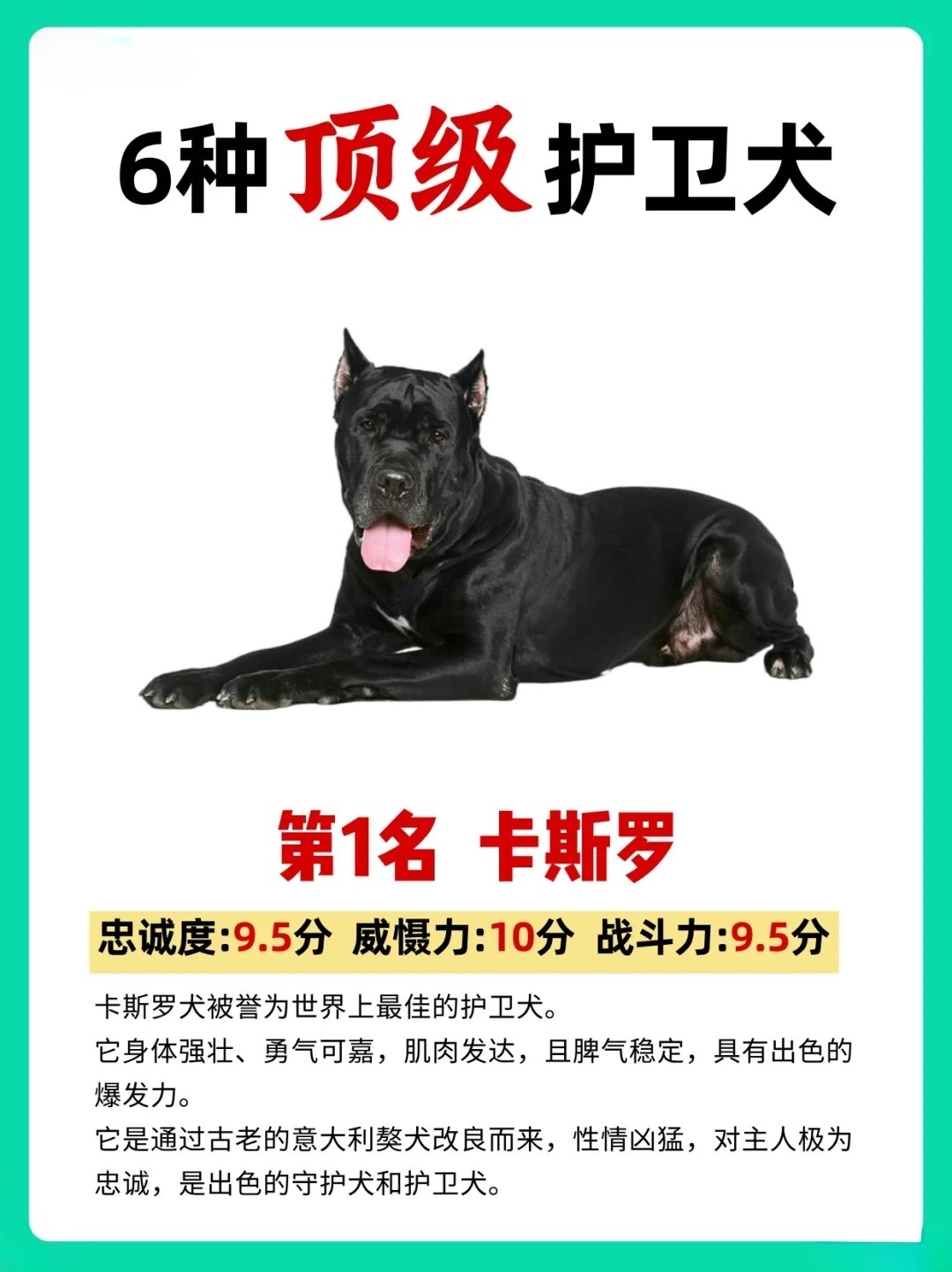 最新魏玛犬高科技产品介绍与概述