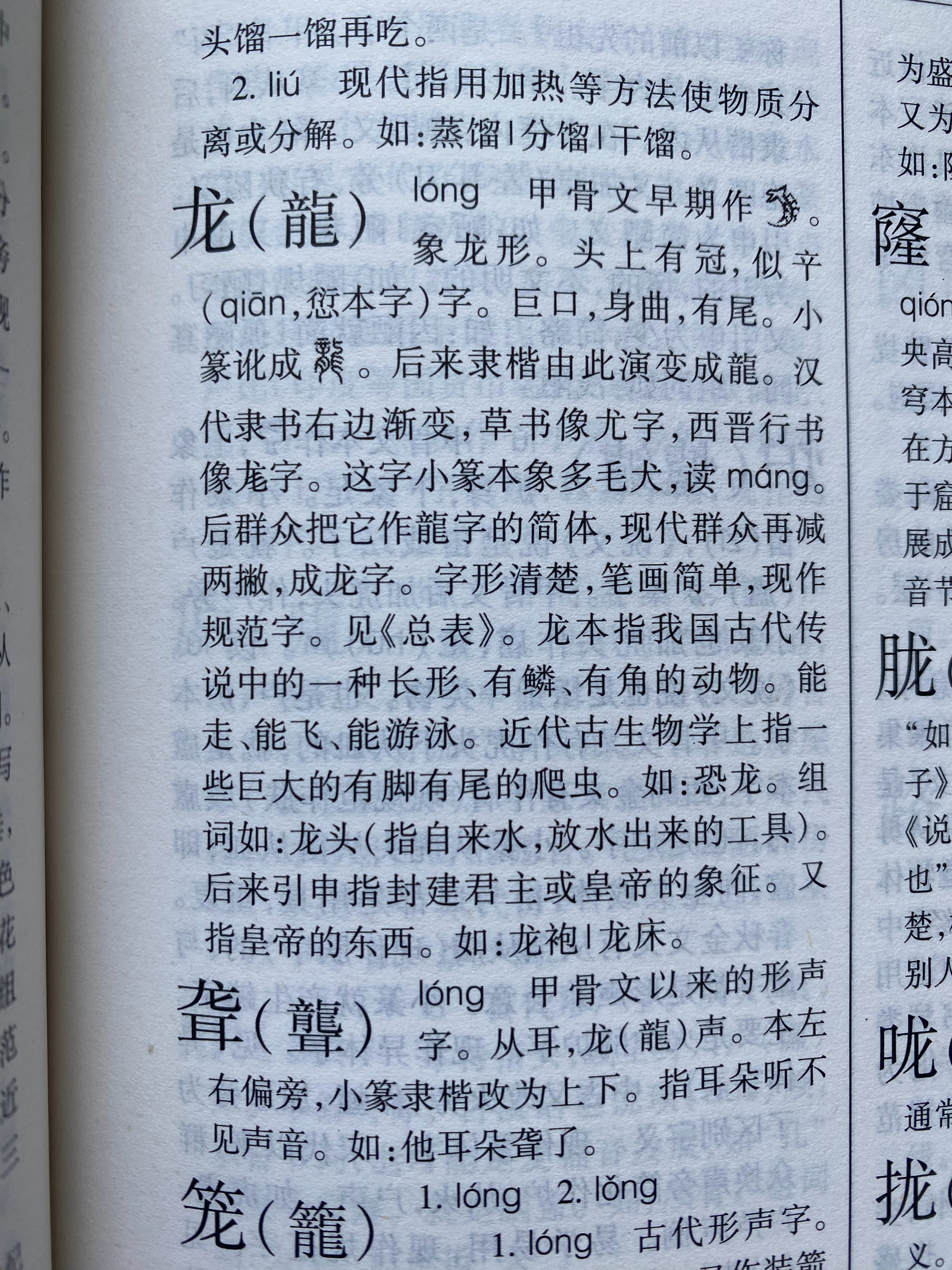 龙组词最新，探索神秘词汇世界，领略龙的魅力词汇