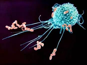病毒扩散最新情况,自然探险之旅寻求内心平和之地
