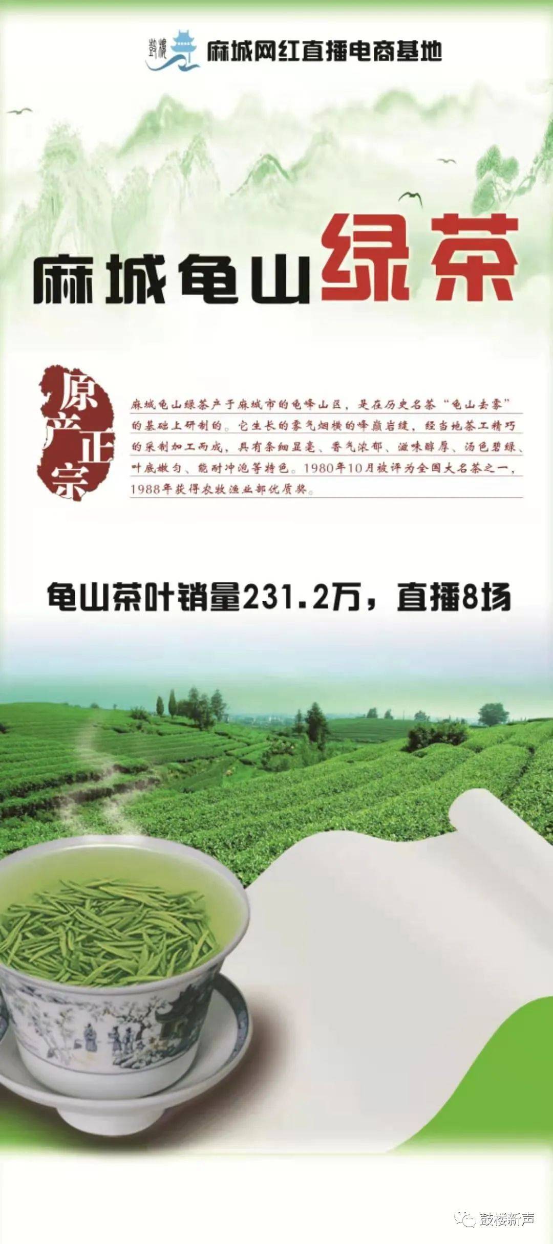 麻城最新宣传动态概览