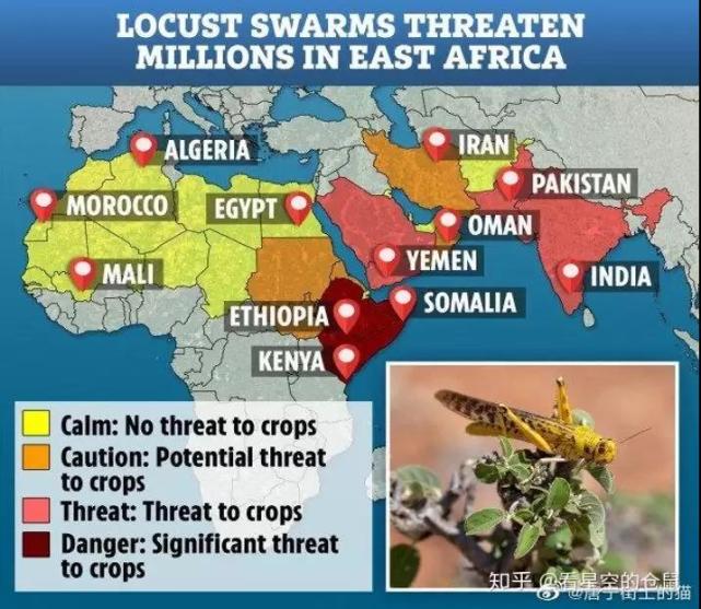 蝗灾最新动态,科技先锋引领抗灾新时代