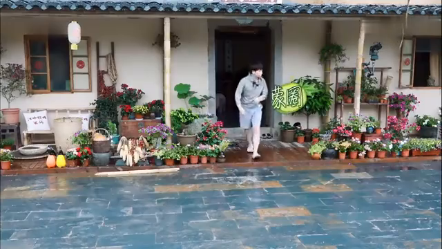 最新蘑菇屋，自然与生活完美融合的梦幻之地