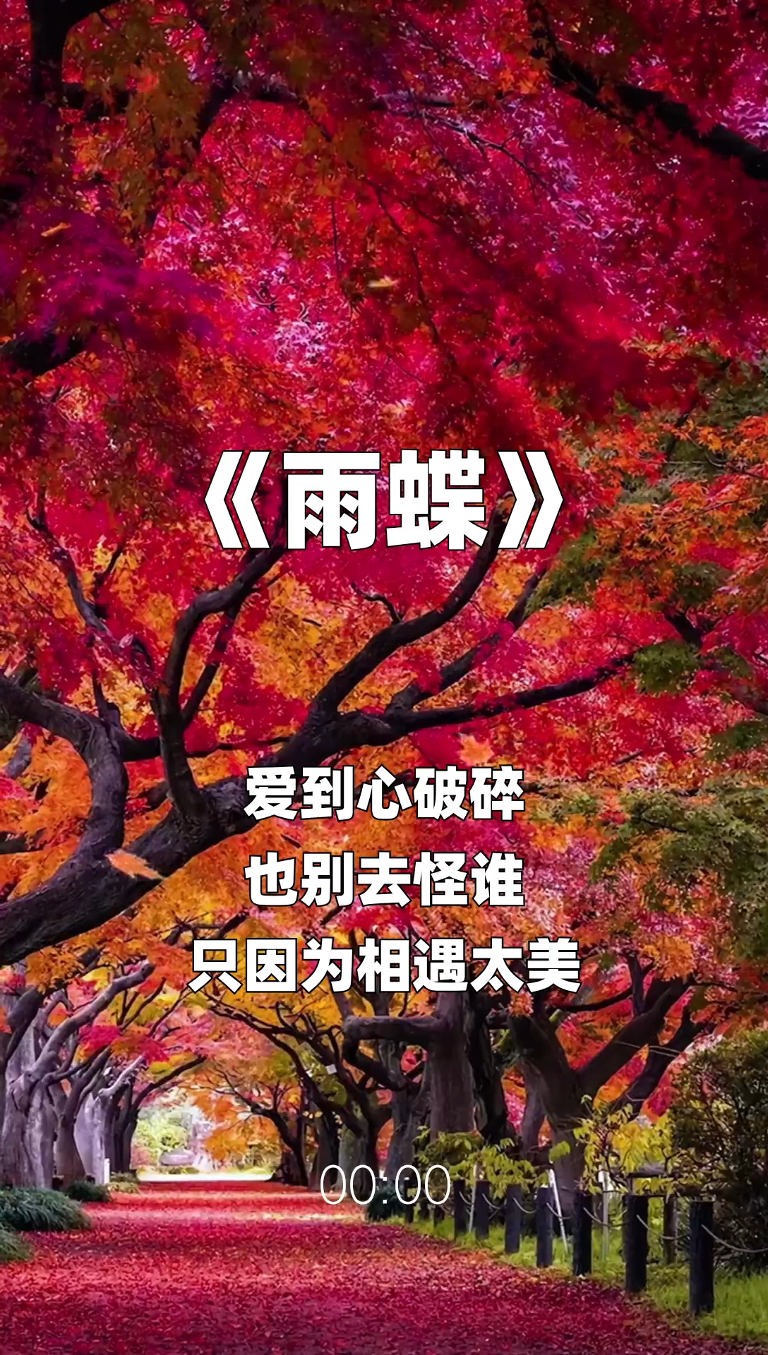 雨蝶最新步骤指南，如何完成任务或学习技能？